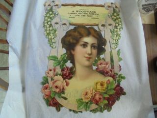 Antique Die Cut Advertising Wall Picture From Winside Nebraska - Stunning Color