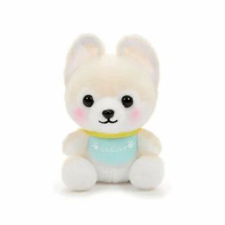 Japan Amuse Mameshiba San Kyodai Baby Dog Plush Inu Stuffed Animal Taito Toreba