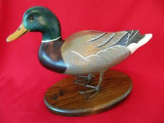 Large Big Sky Carvers Mallard Duck Ashley Gray Sculpture Numbered Signed