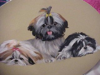 Painting Of 3 Shih Tzus Painting By Monique
