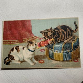 Lion Coffee Woolson Spice Toledo Oh Victorian Trade Card Cats Playing