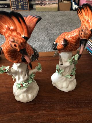 Vintage Hoopoe Bird Figurine Statue Pair Hand Painted Porcelain Pottery Rare.