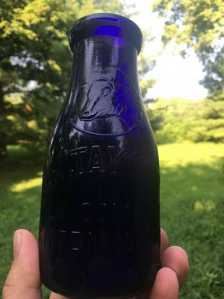 Dark Purple T.  J.  Taylor Staten Island Pint Milk Bottle Cow 