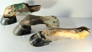 Uncommon Three Very Old Carved Wood Horse Legs From Antique Carousel Horses