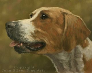 Foxhound Hunting Dog Oil Painting By Master Artist John Silver Ba