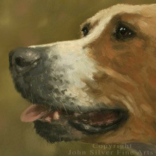 FOXHOUND HUNTING DOG OIL PAINTING by Master Artist JOHN SILVER BA 2