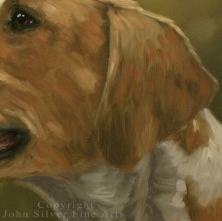 FOXHOUND HUNTING DOG OIL PAINTING by Master Artist JOHN SILVER BA 3