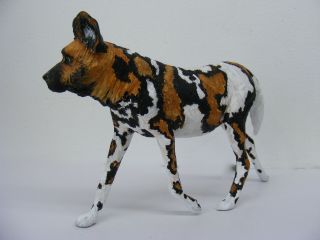 Breyer Custom/cm " African Wild Dog " On The Great Dane Model By Pz19