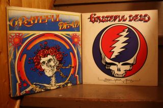 2 Live Grateful Dead Double Lps Steal Your Face,  1971 S/t Skull,  Roses Garcia