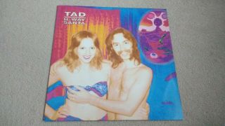 Tad - 8 Way Santa LP Yellow Vinyl German Pressing Sub Pop Nirvana Mudhoney 4