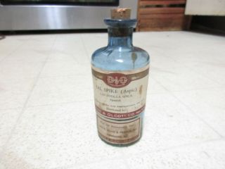 Smith Kline French Antique Apothecary Pharmaceutical Bottle Philadelphia 5.  25 "