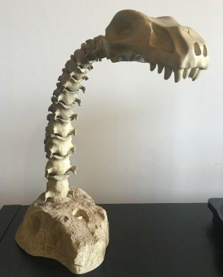 Salton Model Lamp 1: Lampasaurus Dinosaur Skeleton Spine Vertebrae Bone Animal