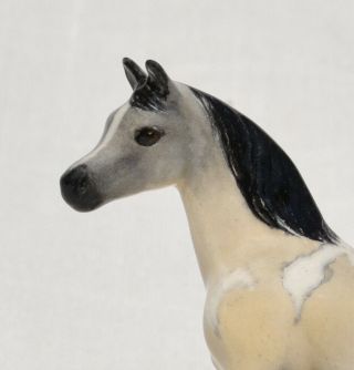 Tiny SM Light Buckskin Paint Pinto Half Arabian Horse Ceramic China Figurine 8