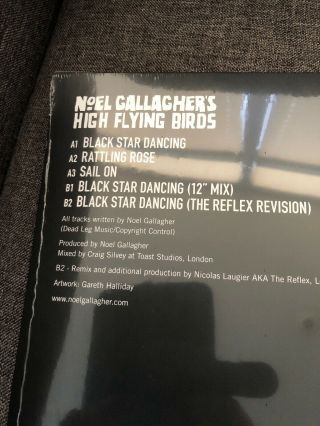 NOEL GALLAGHER ' S HIGH FLYING BIRDS LIMITED PICTURE 12 