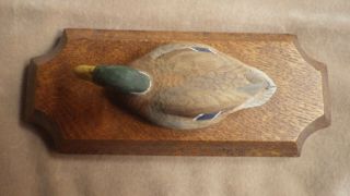 Robert Fowler Miniature Hand Carved Wood Mallard Drake Duck Hand Painted 3x7x3 6