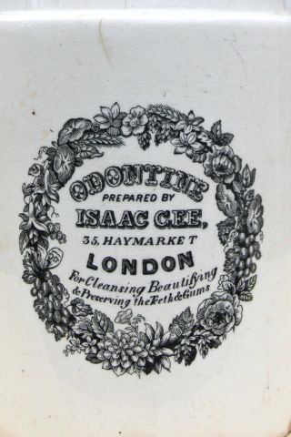 Vintage Odontine Prepared By Issac Gee 35 Haymarket London Toothpaste Jar Pot