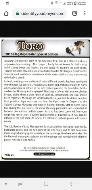 Breyer Toro - 2016 Flagship Dealer Special Edition 2