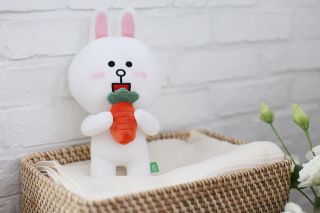 Hot Line Friends Brown Bear White Cony Hare Plush Soft Toy Stuffed Doll 10  1pc 6