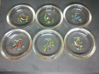 6 M.  Sargeant Animal Bird Motif Glass Coasters Cardinal,  Wren,  Blue Jay,  Oriole