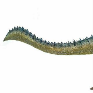 PNSO Spinosaurus Onchopristis Figure Dinosaur Model Toy Collector Decor Gift 5