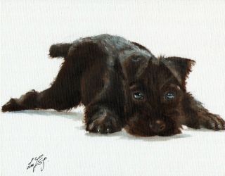 Oil Portrait Painting Standard Schnauzer Signed Artwork Dog Puppy Black