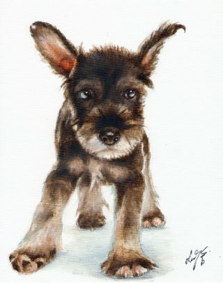 Oil Puppy Dog Portrait Painting Standard Schnauzer Signed Art Artwork