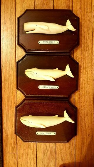 Vintage Rare Sculptures Of 3 White Whales: Sperm,  Blue And Humpback Whales