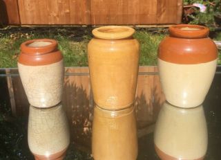 3 Antique Cream Stoneware Jars Manchester Coleraine Ireland 3