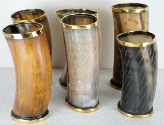 Steins Set Of 6 Viking Designer Drinking Horn Cups Mugs For Beer Wine Meadb