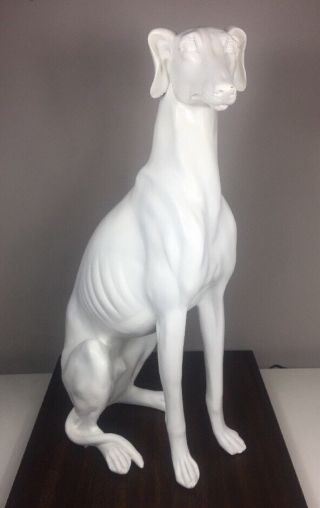 21 " Large White Greyhound Whippet Statue