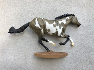 Breyer Horse 1283 Windtalker Grullo Pinto Smarty Jones Collector’s Choice Sr