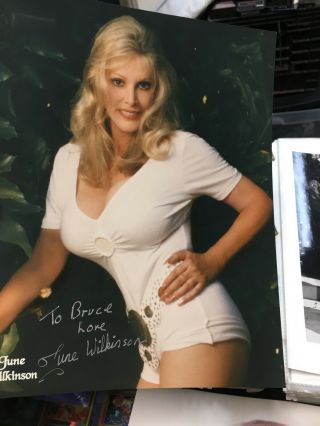June Wilkinson Playboy Model Batman Villian Signed (SEVERAL) Autographs 3