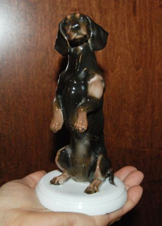 German Rosenthale Dachshund Dog Figurine Selb - Bavaria Vintage Porcelain Rare