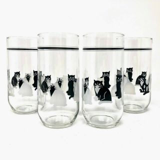 Set Of 4 Vintage Cat Tall Drinking Glasses Kitty Kitten Water Cups Tumbler 16oz