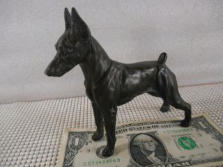 Signed Tony Acevedo Bronze Doberman Pinscher Dog Figurine 5 " Statue