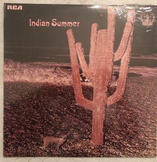 Indian Summer Rare Prog Psych Rca Neon Label Dj Promo Vinyl Lp