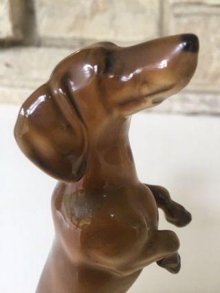 Vintage Dachshund Dog Figurine German Hutschenreuther Hr Germany Porcelain