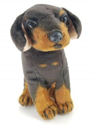 Realistic 8 " Dachshund Plush Stuffed Animal Cuddle Puppy Dog Toy Unique Look