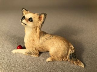 " Anita " Long Coat Chihuahua Figurine,  England,  Signed & Dated 1984,  With Ball
