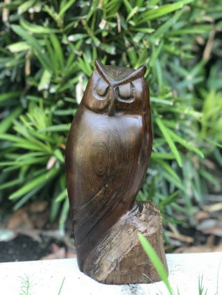 Hand Carved Mahogany Wood Owl Sculpture