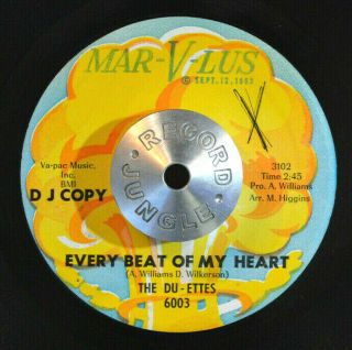 Northern Soul 45 - The Du - Ettes - Every Beat Of My Heart /sugar Promo Vg,  Hear