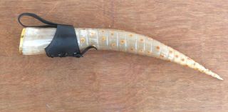 Viking Drinking Horn & Leather Holder For Ale Mead Beer Wine For Christmas Gift