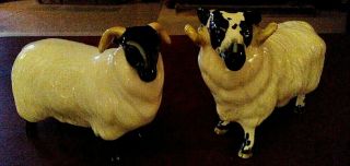 Beswick Male Ram Sheep & Female Black Faced Sheep (from England)
