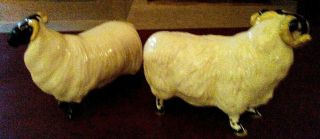 Beswick Male Ram Sheep & Female Black Faced Sheep (From England) 2