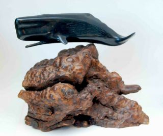 Large John Perry Black Ebony Carved Sperm Whale Burl Wood