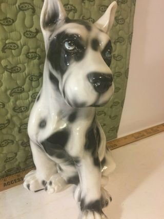 Harlequin Great Dane Dog Figurine - Twelve Inches Tall - Made In Italy - See Stamp