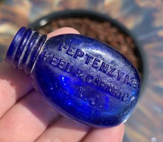 Rare Poison Bottle Cobalt Blue Reed & Carnrick,  Nj Antique Cocaine Make Offer