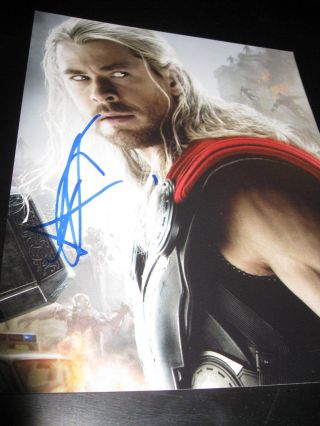 Chris Hemsworth Signed Autograph 8x10 Photo Thor Avengers Promo In Person K