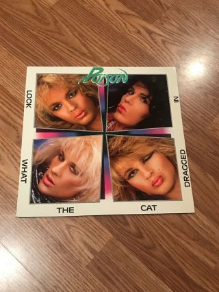 Poison - Look What The Cat Dragged It 1986 Enigma Glam Metal Lp W/inserts