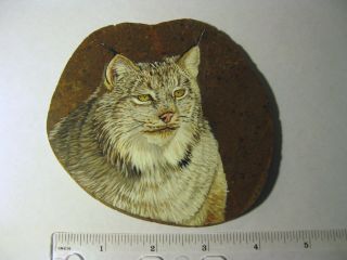 Lynx Painted On Stone
